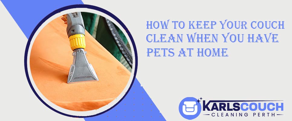 How To Keep Your Couch Clean When You Have Pets At Home